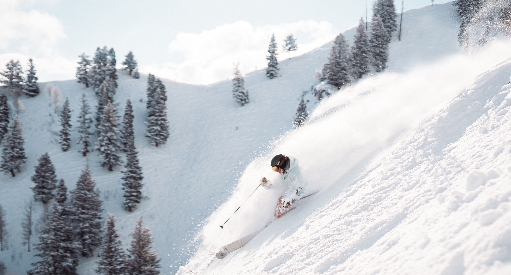 Skier in powder at Sundance Mountain Resort.