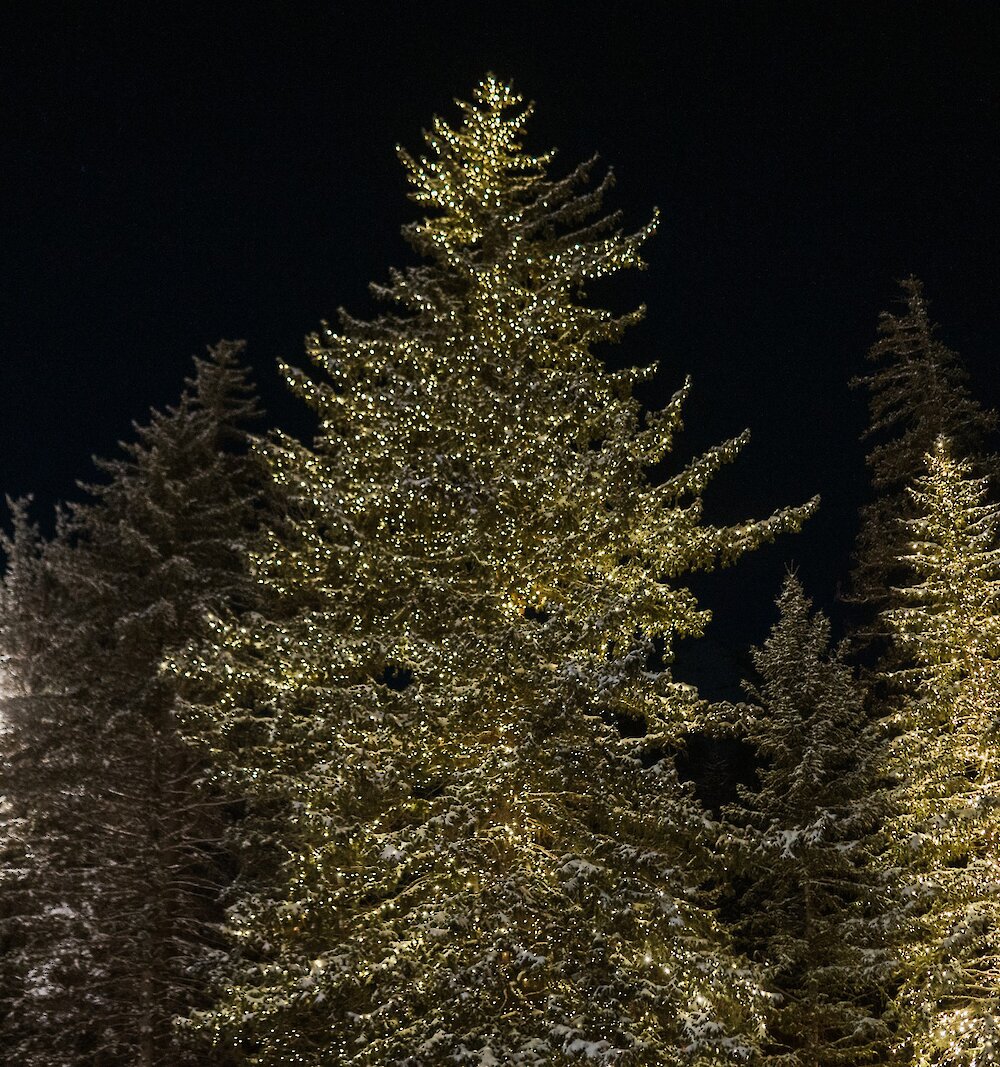 Join us in the Resort Village for a magical evening as we kick off the holiday season.