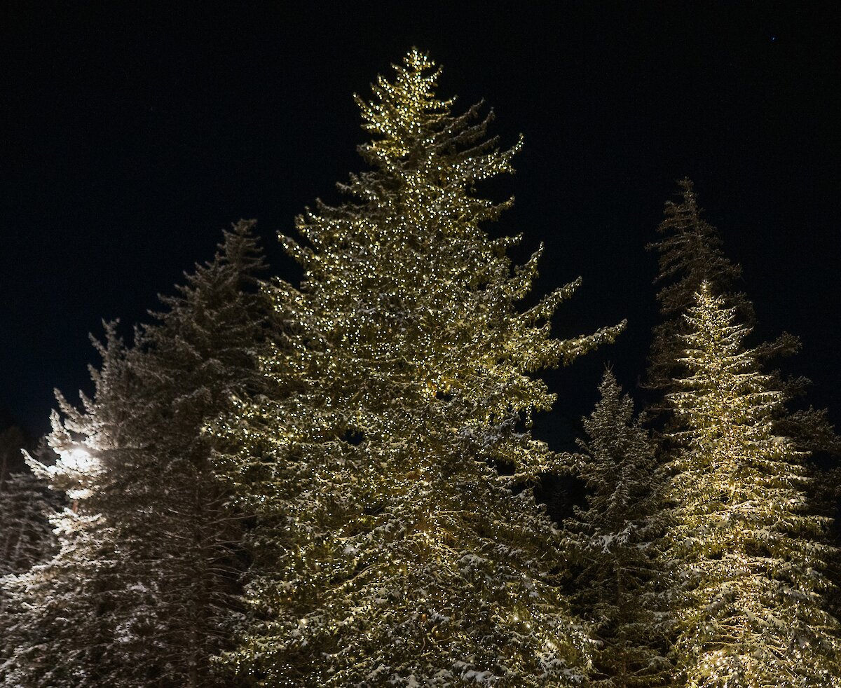 Join us in the Resort Village for a magical evening as we kick off the holiday season.