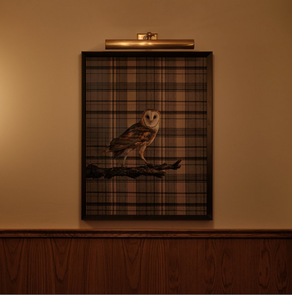 An art piece on the wall of an Owl in the Inn.