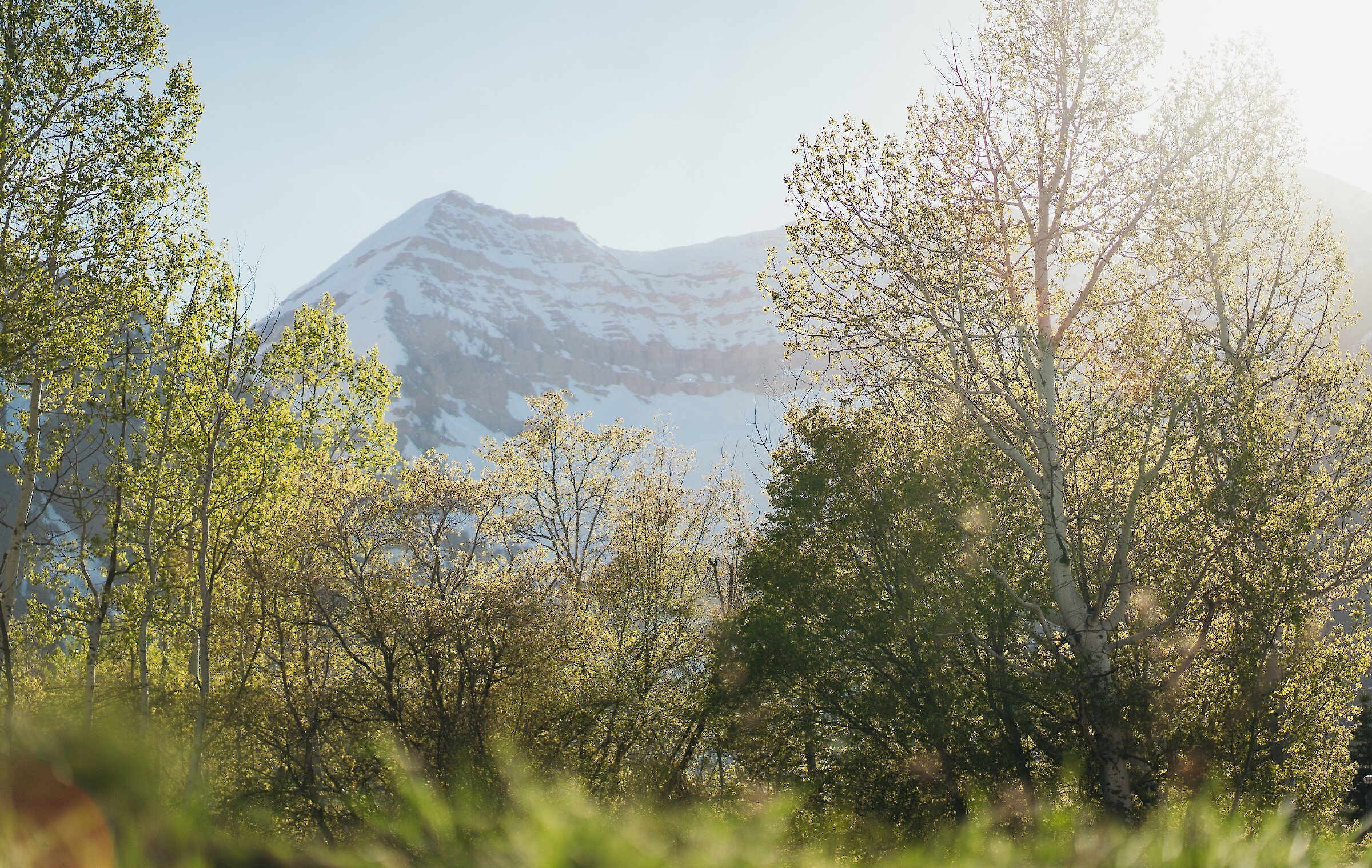 Mt Timpanogos in spring