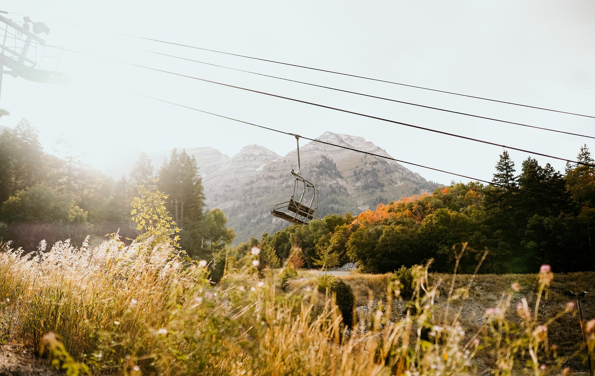 Unspoiled views from a summer Scenic Lift Ride