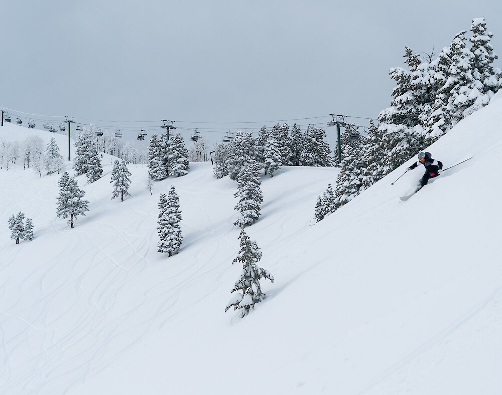 Skiing powder at Sundance Mountain Resort
