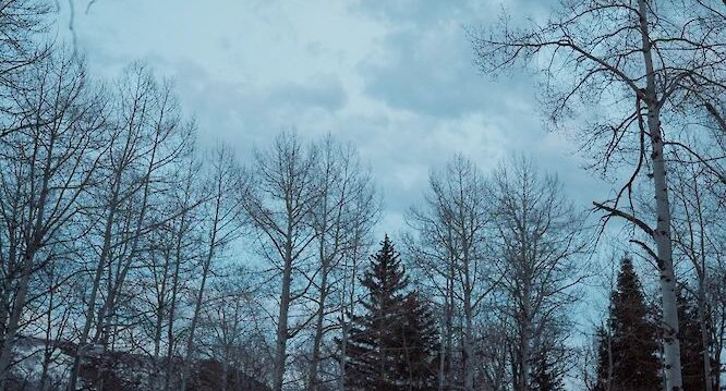 Full moon at the Nordic Center.