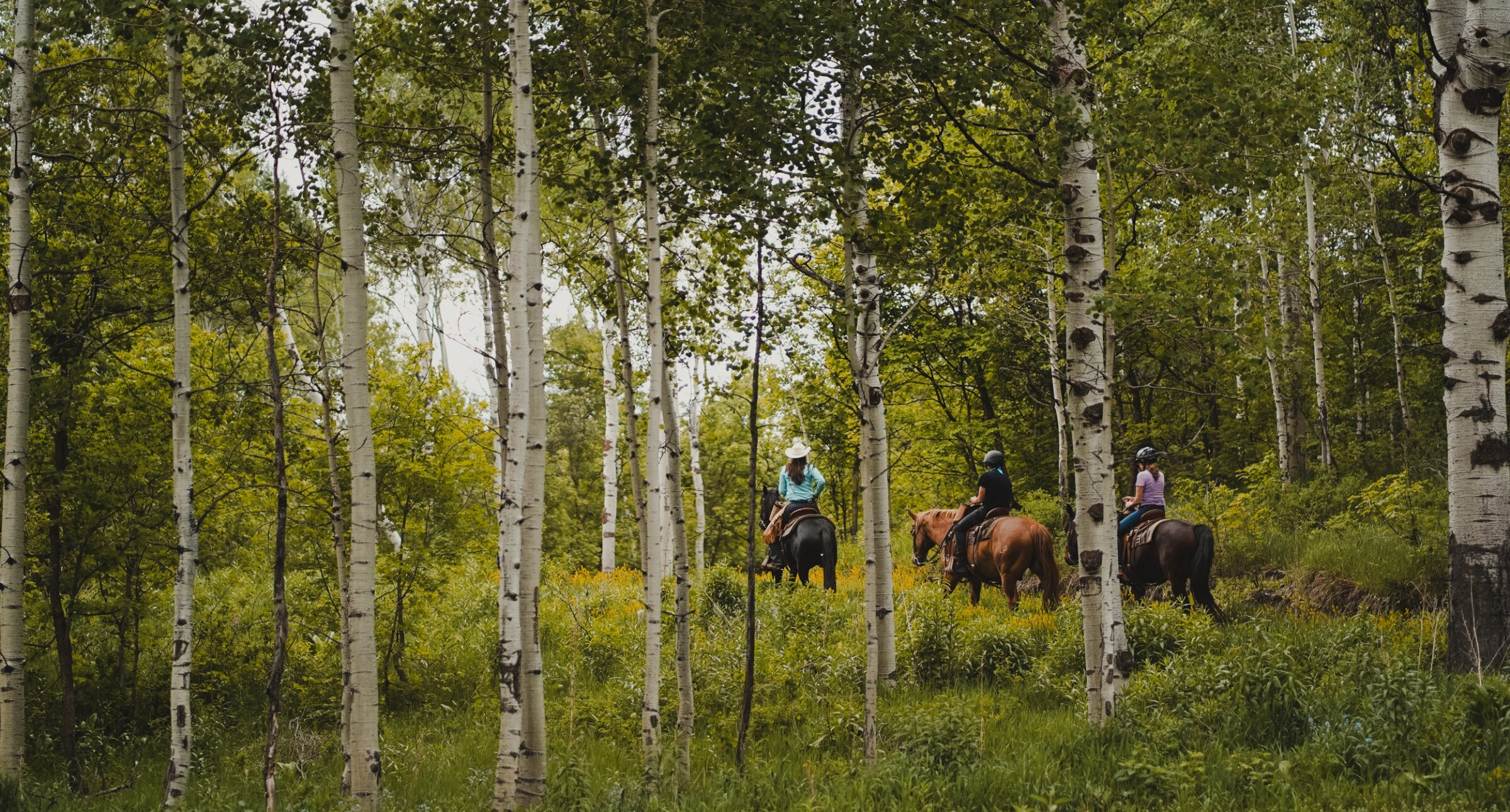 The Stables at Sundance Resort