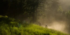 Two cyclists ride up a misty hillside with verdant grass and tall trees backlit by the golden light of a setting sun.