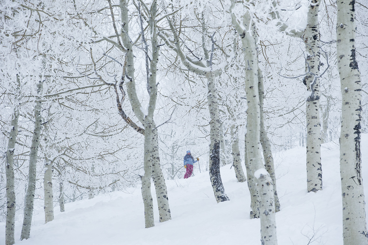 Sundance Mountain Resort Season Pass Prices Sundance, Utah
