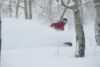 A snowboarder in a red jacket carves through deep powder among white-barked trees on a snowy day, kicking up a spray of snow.