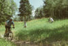 Three people mountain biking on a grassy trail through a wooded area, with lush green trees surrounding them. the foreground shows a person leading, with two others following.