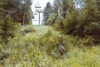 A cyclist rides on a narrow trail through a lush, grassy area under an idle ski lift on a cloudy day, surrounded by dense green foliage and trees.