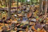 A natural rocky waterfall and autumn mountain view from Cirque Crest rental home.