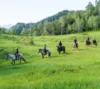 Four people enjoying mountain horseback riding through a lush green meadow with a backdrop of tree-covered hills and distant snow-capped mountains.