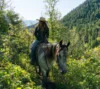 A woman in a wide-brimmed hat enjoys mountain horseback riding on a gray horse through a lush, green forest with a backdrop of mountains. Sunlight filters through the trees, highlighting the tranqu