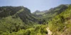 A lone hiker on a dirt trail in the lush green mountains at Sundance Resort.