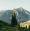 Bearclaw Summit
