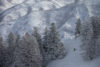 A drone shot of a skiier making their way down a powder mountain.
