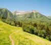A scenic landscape featuring lush green meadows and a dense forest leading up to a towering mountain with a partially snow-covered peak, under a clear blue sky. a narrow dirt path snakes through the meadow.