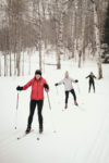 Three women cross country skiing through the snowy forest.