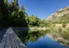 Beautiful pond with a walking path around the perimeter.