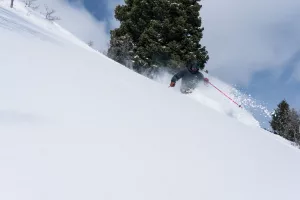 A skier glides down the mountain with powder spraying behind them.