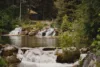 Small pond nestled in the forest with short waterfalls in the front and back.