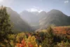 Stunning view of the fall color changes in the Utah mountains.