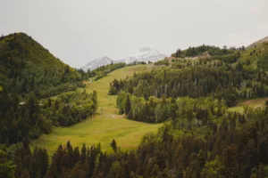 Luscious green view of the mountain in the summer.