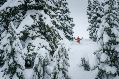 In the middle of a snowy slope surrounded by trees a snowboarder makes their way down the mountain.