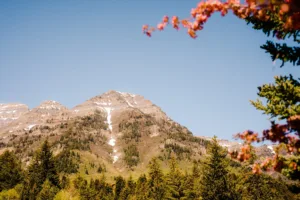 A majestic mountain with snow patches stands under a clear blue sky. The foreground features an evergreen forest and out-of-focus red and pink flowers on the right, adding vibrant color to the scenic landscape. Experience this beauty firsthand with our Utah vacation packages that include stays near Sundance dining spots.