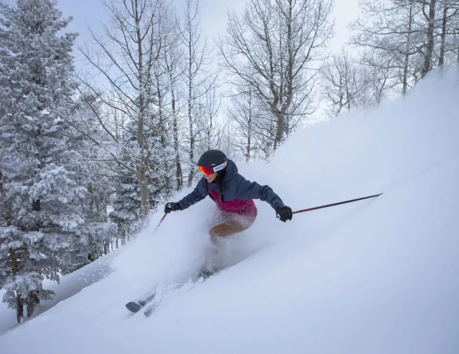 A person wearing a helmet and ski gear carves through fresh powder while skiing downhill. Snow-covered trees form the backdrop on a wintry day, creating a serene and thrilling scene.