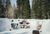 An outdoor setup in a snowy forest features rustic wooden tables and chairs arranged on snow. The area is decorated with Western-themed items like wagon wheels and animal hide rugs. Tall evergreen trees surround the space, and a clear sky is visible above.