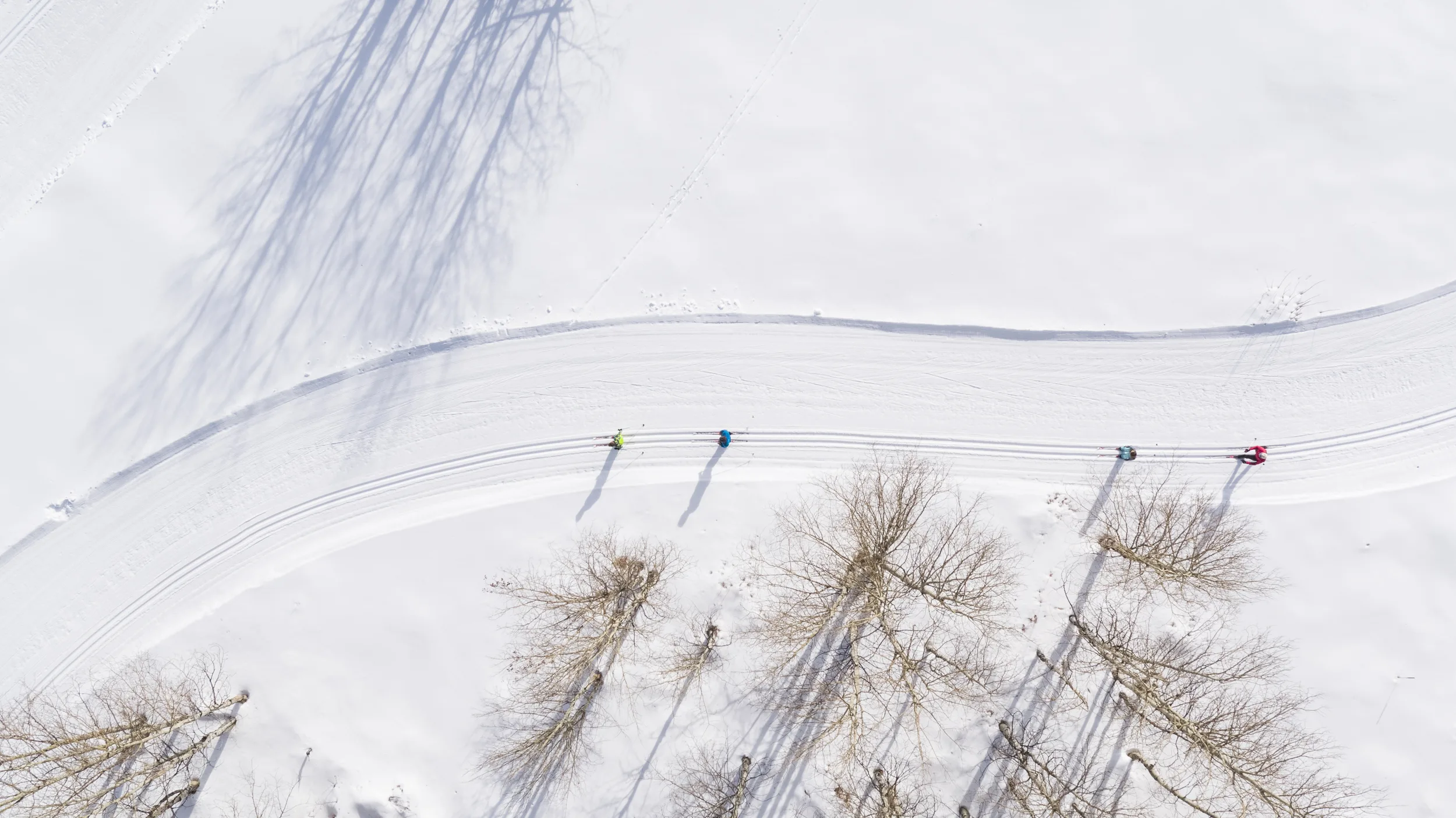 Aerial view of a snow-covered landscape with a curving ski trail. Four skiers are evenly spaced along the trail, casting long shadows. Bare trees with intricate branches line the scene, their shadows stretching across the snow.