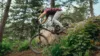 A cyclist in a helmet and protective gear rides a mountain bike down a rocky trail surrounded by lush greenery. The rider leans forward, navigating the slope with focus and control amidst tall trees.