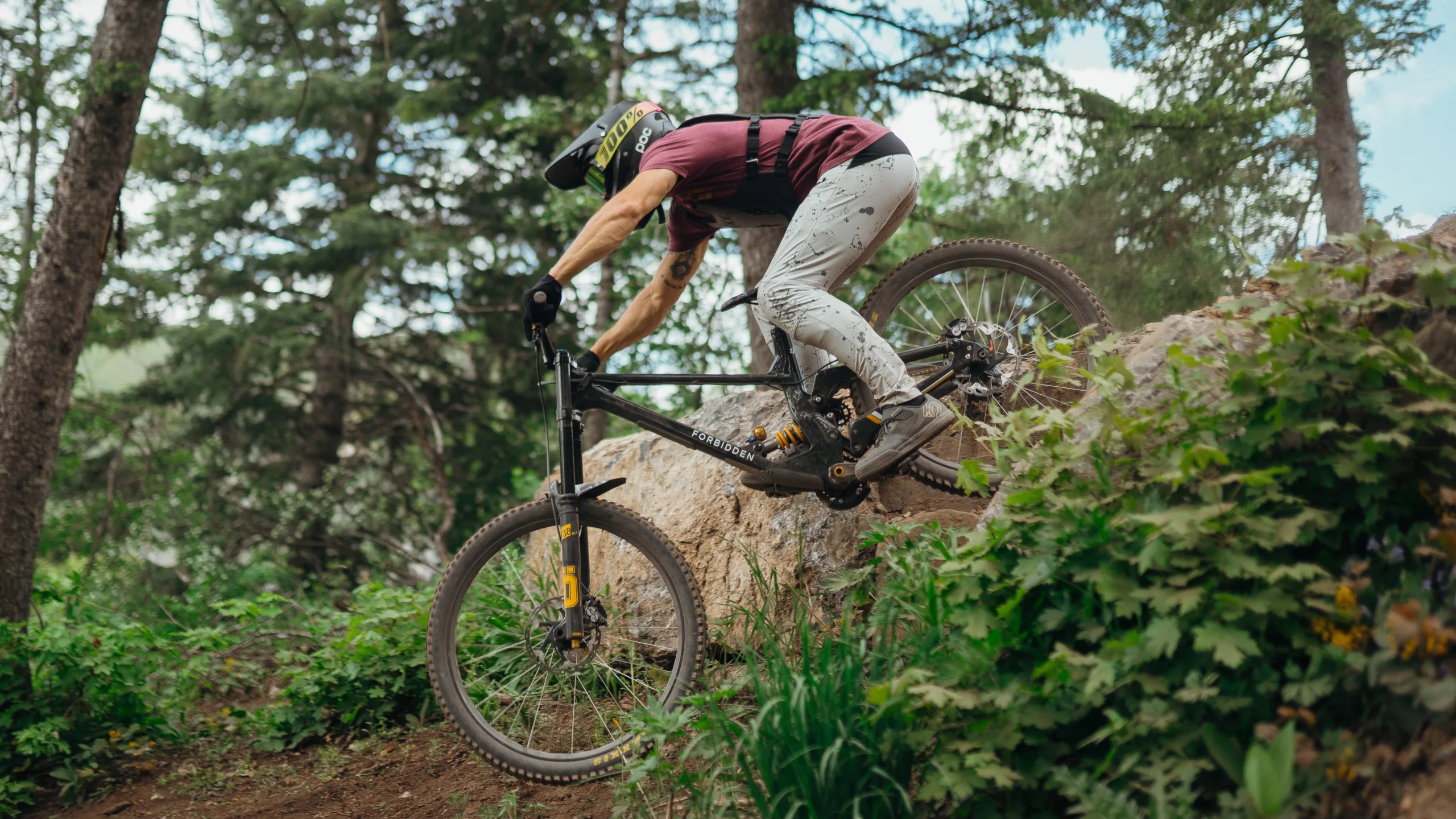 A cyclist in a helmet and protective gear rides a mountain bike down a rocky trail surrounded by lush greenery. The rider leans forward, navigating the slope with focus and control amidst tall trees.